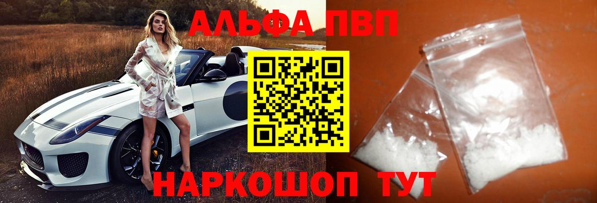 A-PVP СК КРИС Хасавюрт