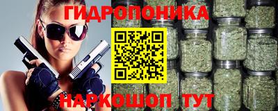 крисы Обь