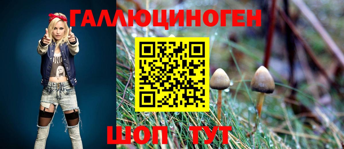 Псилоцибиновые грибы MAGIC MUSHROOMS  Вход с VPN  Псилоцибиновые грибы мухоморы  Хасавюрт 