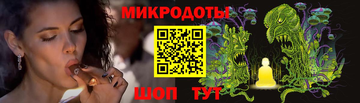 Галлюциногенные грибы Psilocybine cubensis Хасавюрт