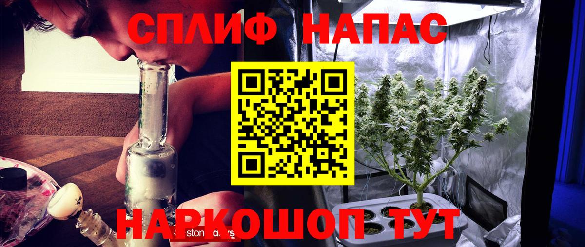 Каннабис план Хасавюрт